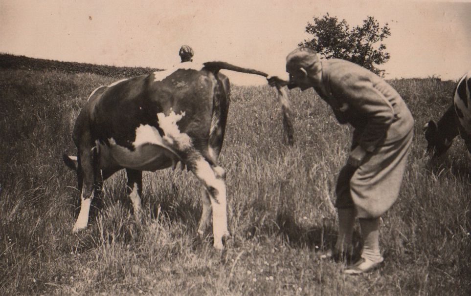 Robert_mit_Kuh_1.jpg