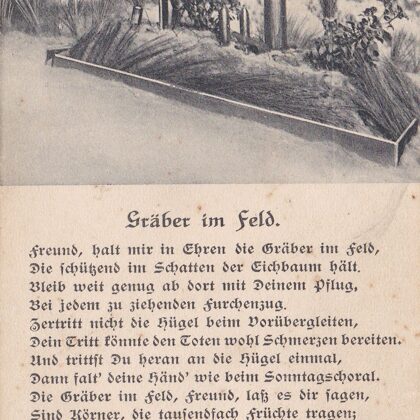 Gräber im Feld