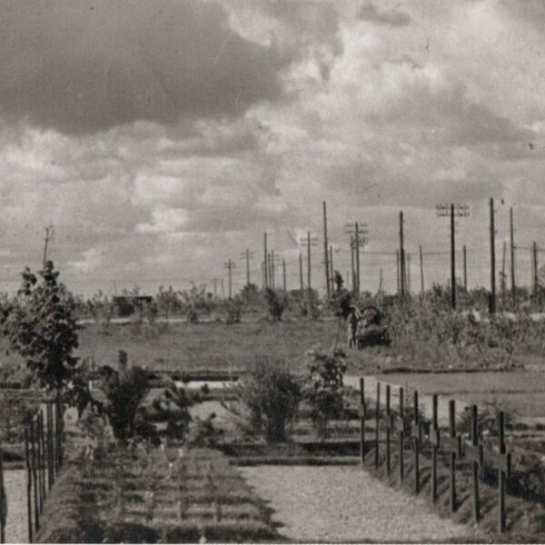 Heldenfriedhof Lilatalowka-Ost