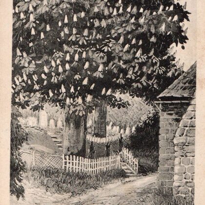 Deutscher Soldatenfriedhof in Südfrankreich 1916 