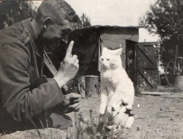 Großvater mit Katze
