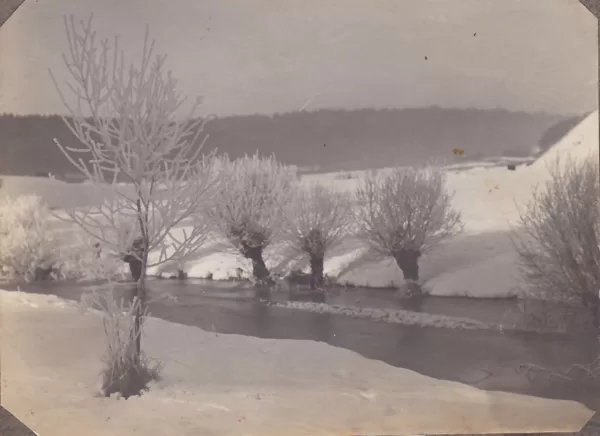 Rau in Russland 1917
