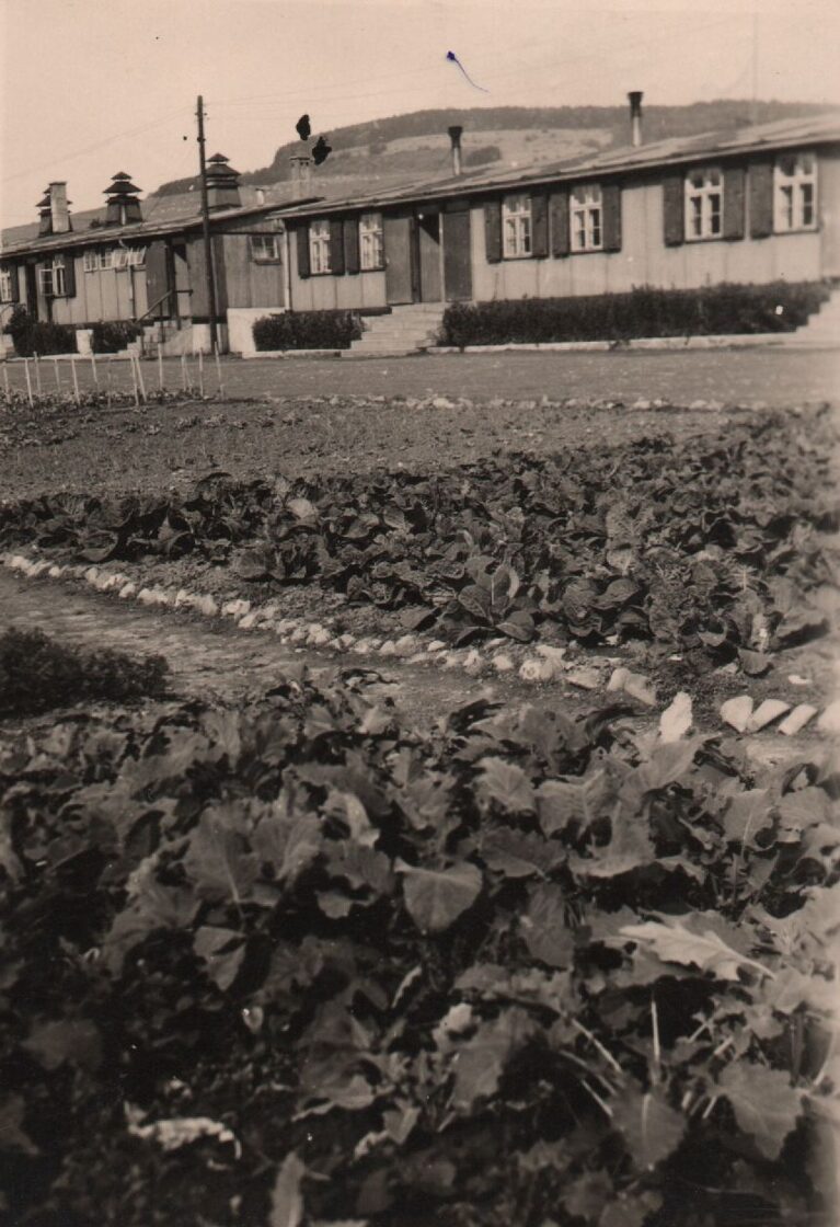 12-112_Wustensachsen_1943_RADwJ_-_1-1.jpg